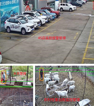 無電無網(wǎng)少人煙的野外，還想裝監(jiān)控系統(tǒng)？這不是空想